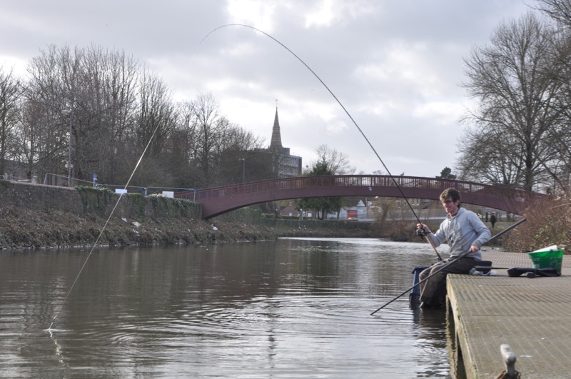 Coarse fishing Somerset River Tone