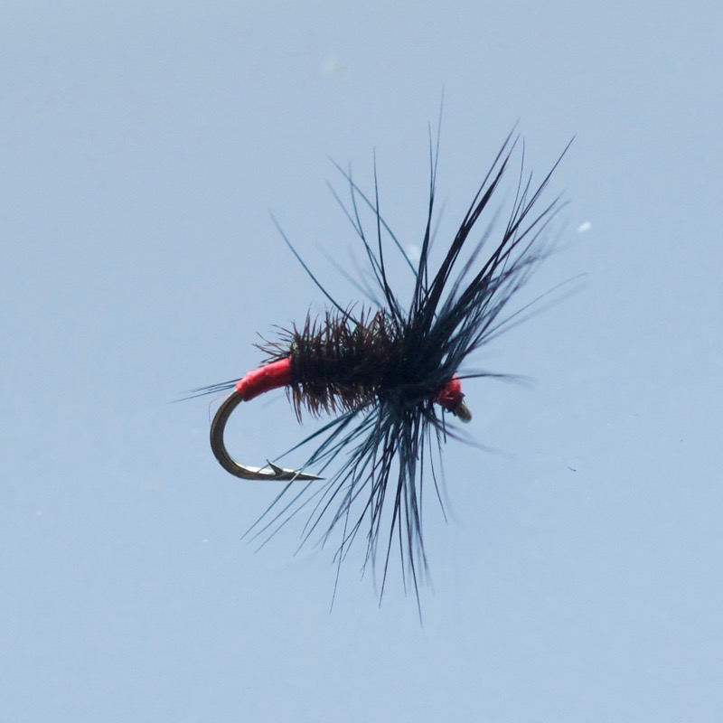 Flies for coarse fish Turrall