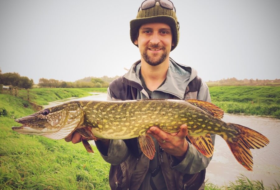 Pike fly fishing Somerset Levels