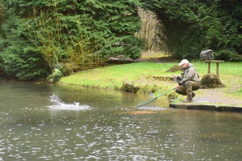 Blakewell fishery trout day ticket fishing