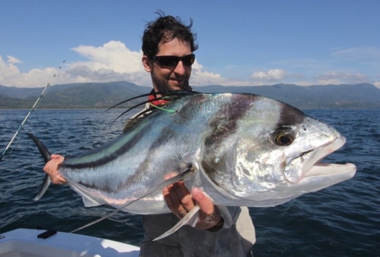 Roosterfish costa rica