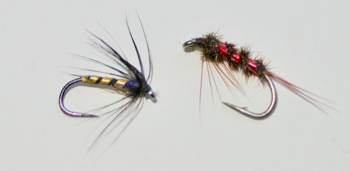 fly patterns for coloured water canal rudd roach