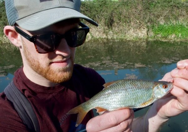 fly fishing for roach coarse fish