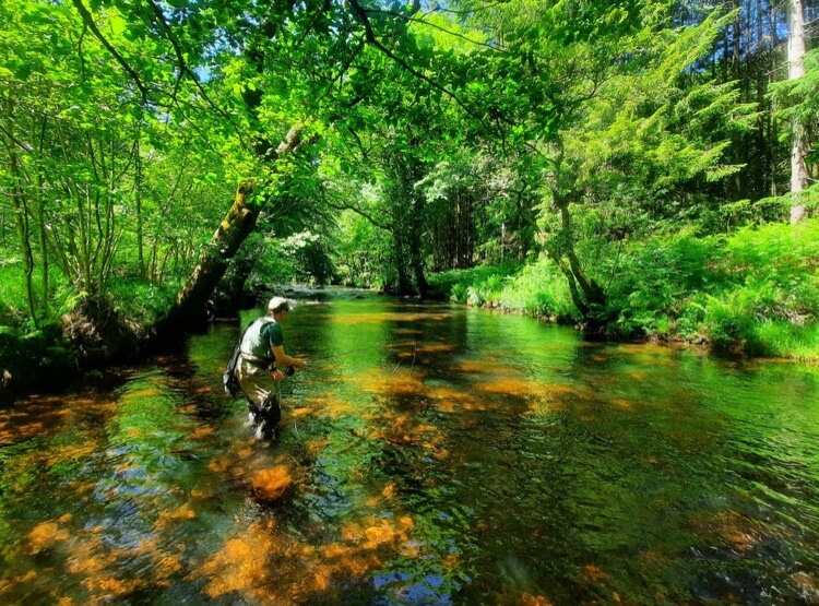 River Teign fly fishing lessons guided 
