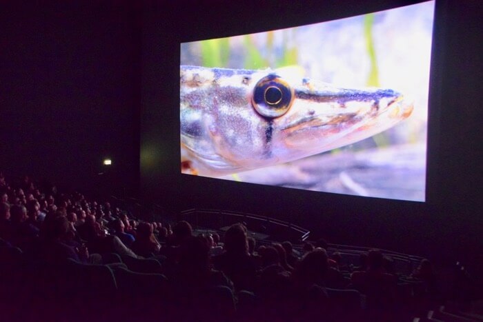 Britians Hidden Fishes screenings UK