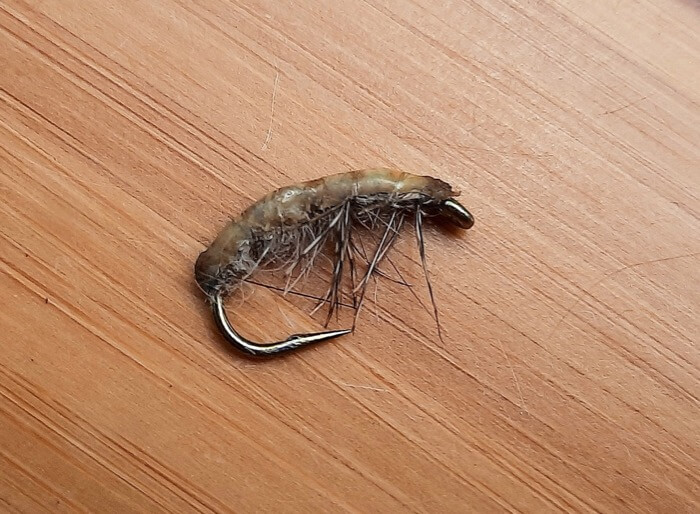 Best flies for grayling freshwater shrimp